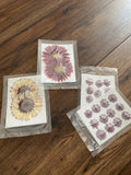 Dried Flowers for Resin Dried Pressed Flowers for DIY Dried Flower