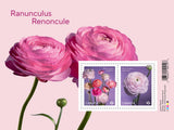 Canada - Ranunculus - Souvenir Sheet Ranunculus