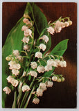Lily of the Valley Flower Postcard Budapest Stamps on Back Lily