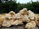 35 lbs Assorted Sizes Dry Reef Base Rock, Lightweight, Porous, Aquariums Live Anemone