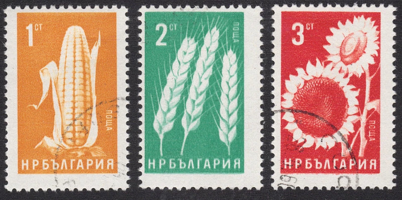 Used Bulgarian sunflower postage stamps, three values: 1c, 2c, 3c