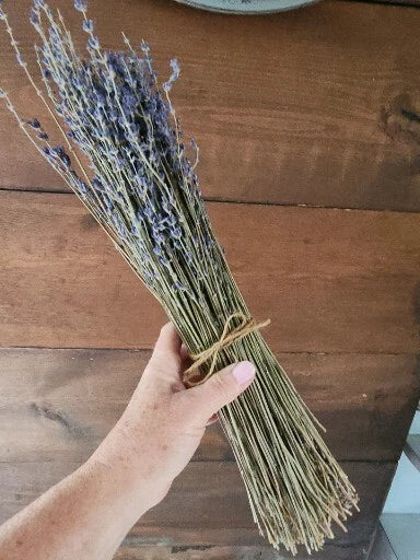 Large bundle of dried lavender flowers, tied stems with bluish-purple blooms
