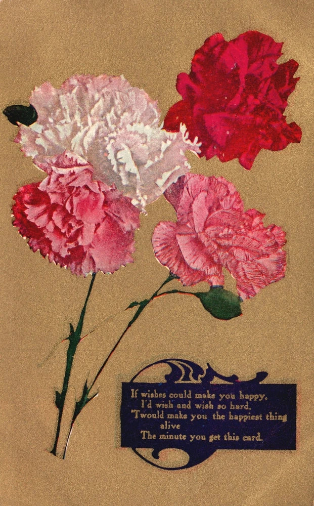 Vintage Postcard 1910's Carnation Flowers Wishes Could Make You Happy Greetings Carnation