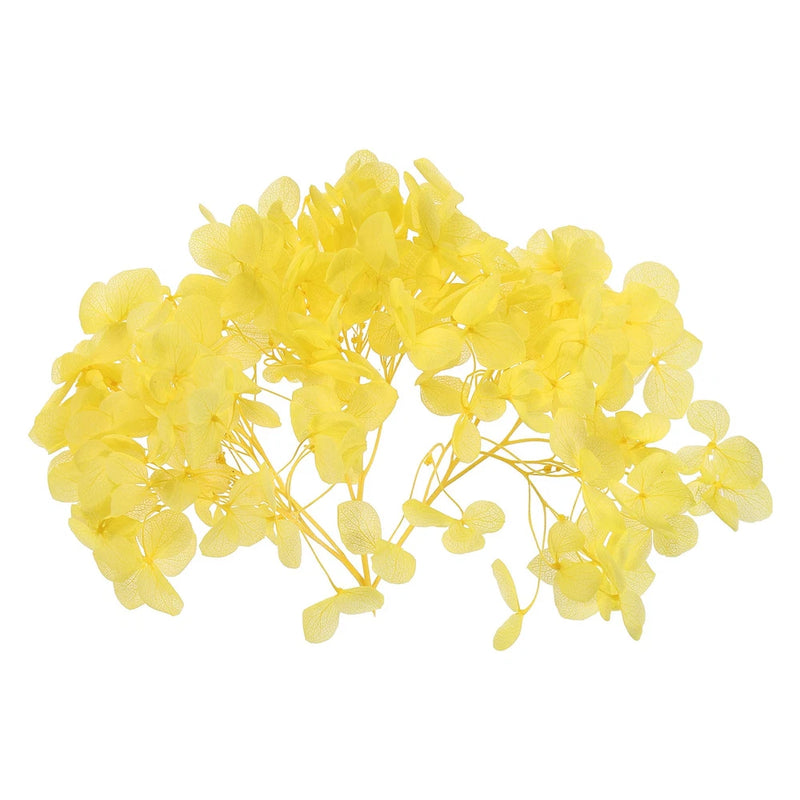 10g Mini Dried Hydrangea Flower Natural Pressed Flower Real Hydrangeas Yellow Dried Flower
