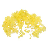 10g Mini Dried Hydrangea Flower Natural Pressed Flower Real Hydrangeas Yellow Dried Flower