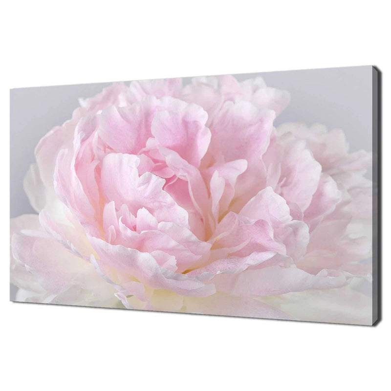 Pink peony flower petals canvas wall art print, horizontal rectangular.