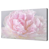 Stunning Pink Peony Petals Flower Modern Design Canvas Print Wall Art Picture Peony
