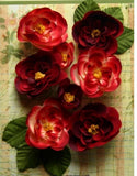 Ranunculus RED - 8 Fabric Flowers + 6 Leaves 33-48mmAcross Botanica Pet L2b Ranunculus