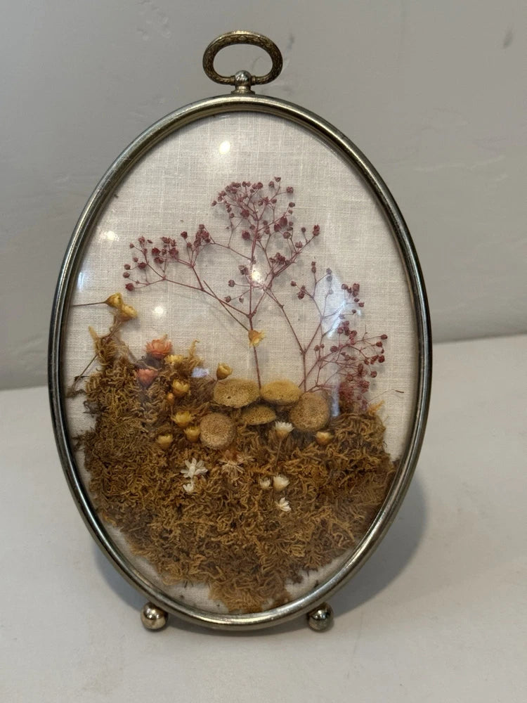 Oval glass herbarium frame with gilded metal stand, dried mushrooms and red flowers