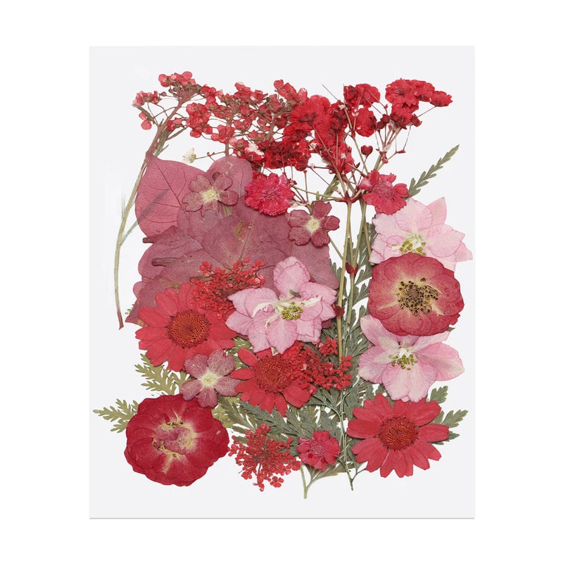 32 Pcs Dried Pressed Flower Leaves Bulk for Resin, Warm Red Dried Flower