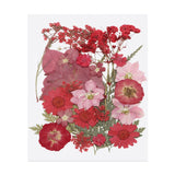 32 Pcs Dried Pressed Flower Leaves Bulk for Resin, Warm Red Dried Flower