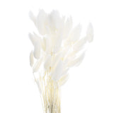 60pcs Natural Bunny Tails Dried Flowers 16" Mini Pampas Grass, White Dried Flower