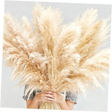 40" inch 10 PCS Dried Pampas Grass Decor Tall, Large Beige Natural Pampas Pampas Grass