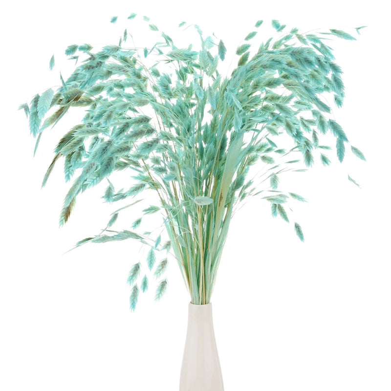 Light blue dried grass bundle with feathery stalks in a small white vase