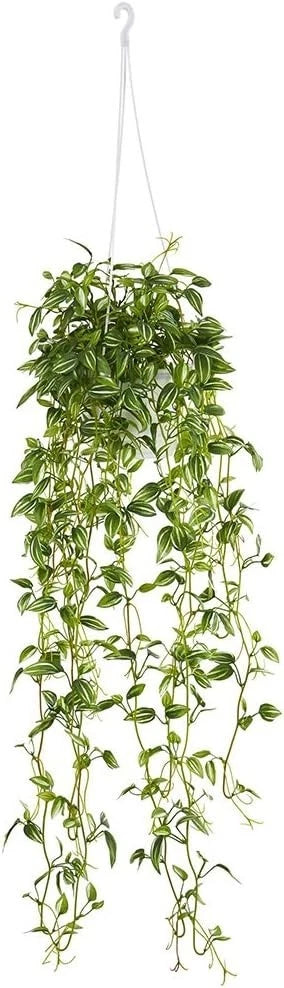 2 Pack Nearly Natural Green Variegated Hanging Basket Artificial Plant Green Plant