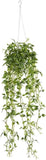 2 Pack Nearly Natural Green Variegated Hanging Basket Artificial Plant Green Plant