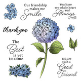Hydrangea Flowers Our Friendship Makes Me Smile Metal Cutting Dies Clear Stamps Hydrangea