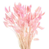 120pcs Natural Bunny Tails Dried Flowers 17" Mini Grass, Gradient Light Pink Dried Flower