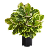 Nearly Natural Artificial Rubber Plant in Glossy Cylinder (Real Touch) in Green Green Plant