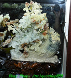 19.6''Chinese Natural Xiu Jade Carving Peony Flower Bird Animal Statue Sculpture Peony
