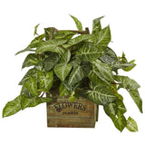 Nearly Natural Nephthytis Plant In Wood Box Planter Artificial Home Decoration Green Plant