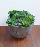 6 Plastic Succulents Artificial Grass Green Snow Lotus Green Plant