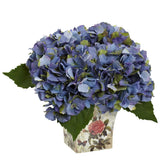 Hydrangea With Floral Planter Hydrangea