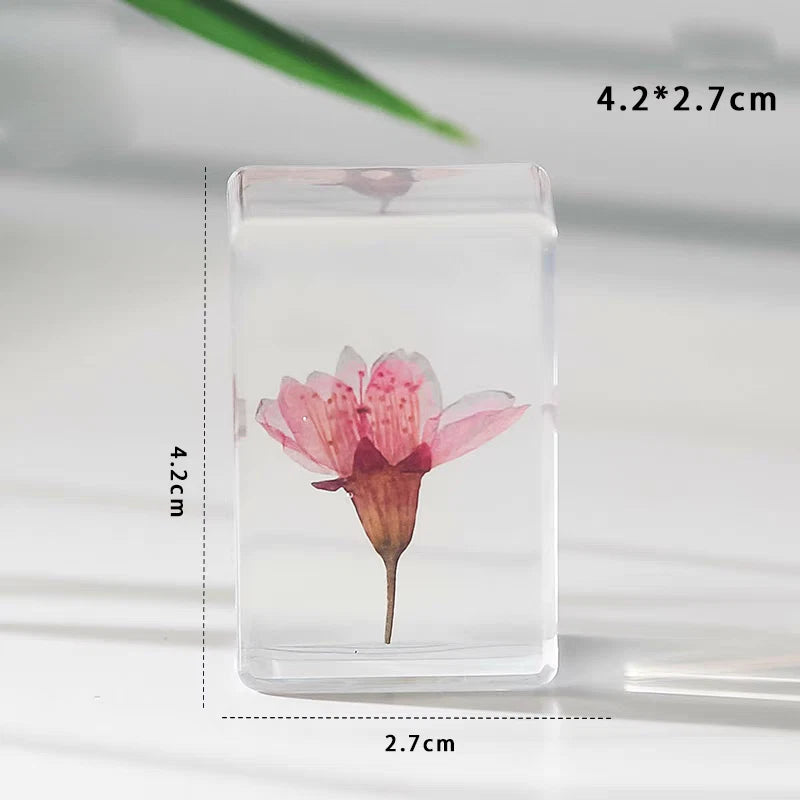 Clear resin paperweight with pink dried sakura flower inside, rectangular block