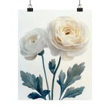 Boho White Ranunculus Flower Art Print Poster, Minimalist Floral Wall Art 1 Ranunculus