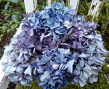 10 Dried Hydrangea Flowers Dark Purple, Blue, Lavender, Bouquet, DIY  Craft Dried Flower