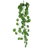 Decorative Hanging Terrarium Plant Vine Plant Reptile Tank Landscaping Plant Green Plant