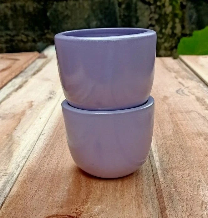 flower Pot Clay Indoor Garden Home Decor Cactus Succulent Small 2 Pcs Pottery Garden Plants