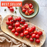 50+ Seeds Sunpeach Tomato Hybrid Juicy Easy to Grow Vegetable Garden Planting Garden Plants