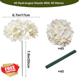 Cherica 40 Pcs Champagne Hydrangea Silk Flowers with Stems Artificial Wedding Hydrangea