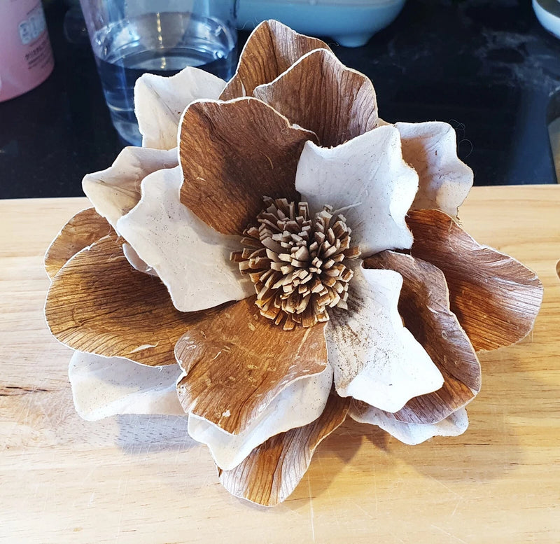3 W/B White Magnolia Sola Wood Diffuser Flowers 15 cm Dia. for Decorate Craft Carnation