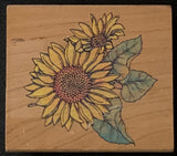 Rubber Stampede Sunflowers Flowers Rubber Stamp Sunflower