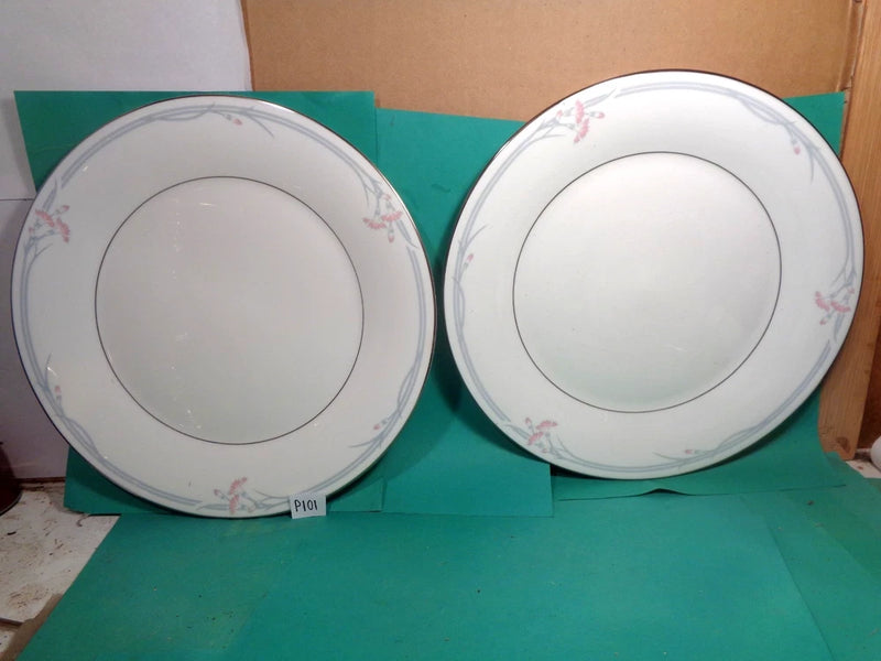 Dinner plates with pink carnation pattern and gray rim, 2-pack