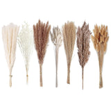 150 Pcs Natural Dried Pampas Grass & Bunny Tails, 17" Fluffy Boho Decor for W... Pampas Grass