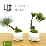 CUPBON Bonsai Pine Tree Set of 2 Ð Japanese Artificial Plant Decor Made in Japan Green Plant