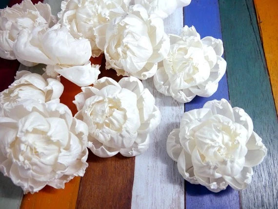 9 Peony Roses Sola Wood Flower Diffuser Flowers 8 cm Dia. For Decorate Craft Sunflower