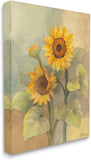 Stupell Industries Sunflower Bloom Soft Yellow Summer 30L x 24W, Sunflower