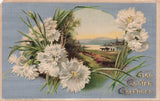 VINTAGE WINSCH EASTER POSTCARD CARNATION FLOWERS WITH VIEW 1911 091823 S Carnation