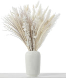 MagicDecor 85 Stems Natural Dried Pampas Grass, Bunny Tails, Natural Reed Grass Pampas Grass