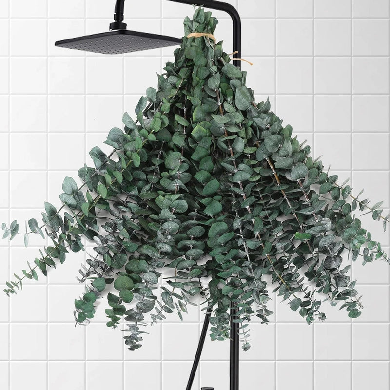 30 Pcs Dried Eucalyptus Stems for Shower, 17'' Natural Real Live Eucalyptus Leav Green Plant