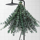 30 Pcs Dried Eucalyptus Stems for Shower, 17'' Natural Real Live Eucalyptus Leav Green Plant