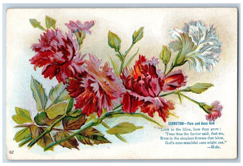 Language Of Flowers Romance Postcard Carnation Pure And Deep Love Embossed Carnation