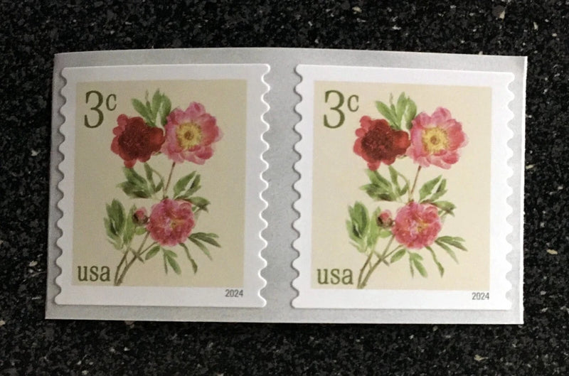 2024USA #5904 3c Peonies - Coil Pair Mint NH    flower Peony