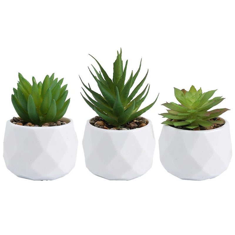 3pcs Elegant Artificial Succulent Plants for For home and Office Display Green Plant