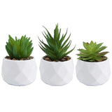 3pcs Elegant Artificial Succulent Plants for For home and Office Display Green Plant