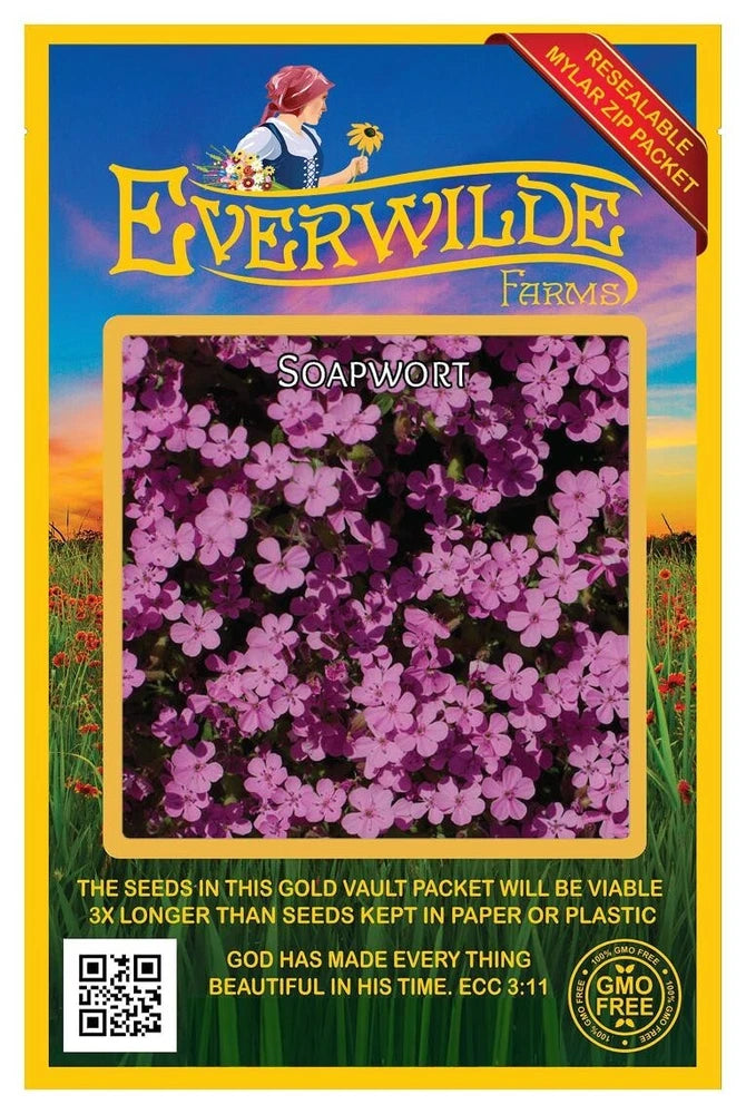 1000 Soapwort Wildflower Seeds - Everwilde Farms Mylar Seed Packet Garden Plants